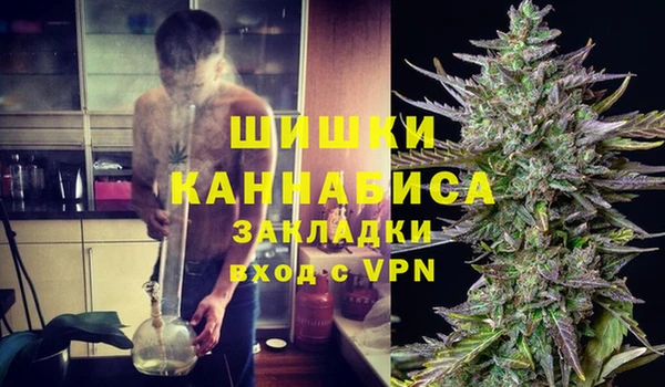 гидра Заволжье