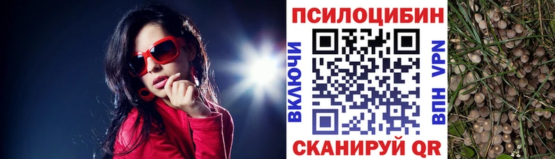 Галлюциногенные грибы Psilocybe  Купить закладки  Углич 